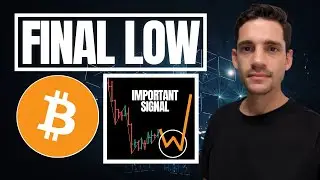 Bitcoin: Macro Bottom Signal In Crypto (Long-Term)