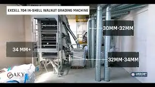 Walnut Grading and Cracking Line 4 Tons/Hour - AKY Technology