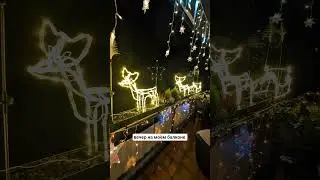 вечер на моём балконе / Abendstunden auf meinem Balkon