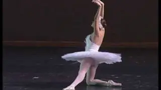 Dying Swan(Cooper Rust)