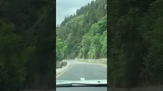#swat#beauty#naturelovers#view#likeforlikes#shortsviralvideos#share#😍😍