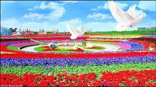 Dubai Miracle Garden 2019 || Largest Flower Garden in the World.Dubai Miracle Garden (4K Video).