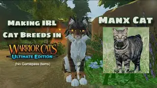 Making IRL Cats into WCUE Morphs | Manx-Cat