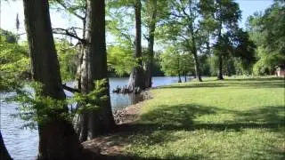 Experience the History and Nature of the MS Great River Road