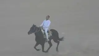 الجواد مدهش والجواد صخر دراو٢٠٢٢