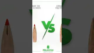 Which projectile type are you running? Match Hollow Point or Polymer Tip?