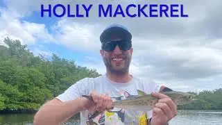 Everglades Chickee Camping