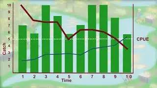 Stock Assessments