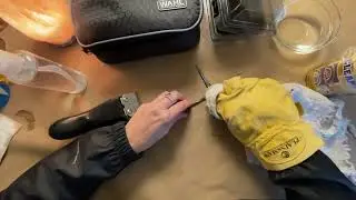 Cleaning Hair Clippers ASMR