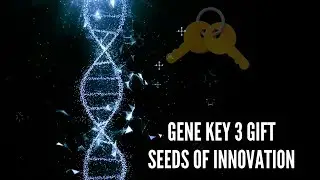 Gene Key 3 Gift Seeds of Innovation