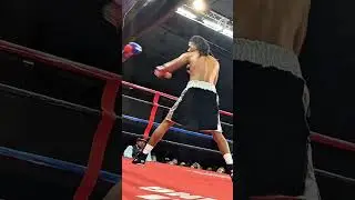 Jaedyn Alpough let's his hands go! #boxing #boxeo #youtubeshorts #fighting #fighter