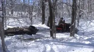 Hauling a face cord of firewood in extra large otter sled behind Skandic SWT snowmobile