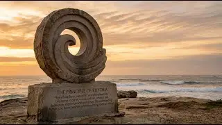 The Rhythm Pattern Behind Nature's Rise and Fall