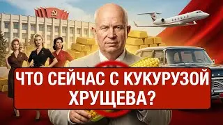 Почему Хрущев засадил СССР кукурузой?