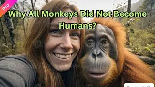 Why there are still monkeys 🐒? || Easily Explained