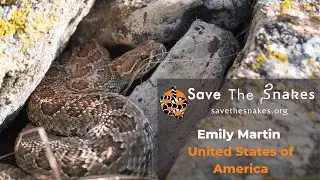 Striking a Balance: Translocation of Rattlesnakes