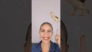🦆 Duck vs Dock - Hear the Difference? (American English)