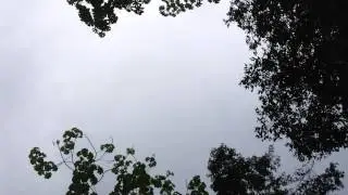 Yasuni Wilderness Contest