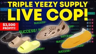 Triple Yeezy Supply Live Cop! Yeezy Slides, Foam Runners, Knit Runners - SNEAKER BOTTING 2021