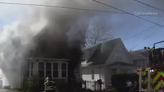 Dog rescued from Aurora house fire, another still missing