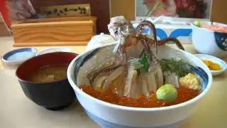 Polvo dan&ccedil;ante - Um prato requintado num restaurante, no Jap&atilde;o!