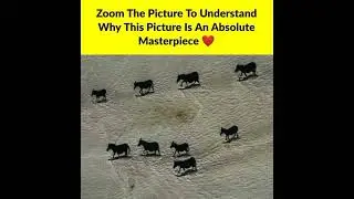 Zoom the picture