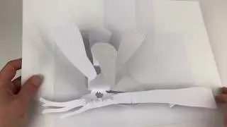 Bird landing on a branch pop-up V1
