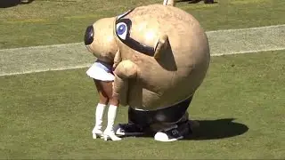 Unexplainable Moments in Sports