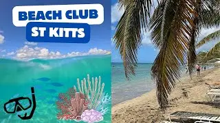 CARAMBOLA BEACH CLUB | SNORKELLING IN THE CARIBBEAN | GOPRO HERO 12 | BASSETERRE, ST KITTS