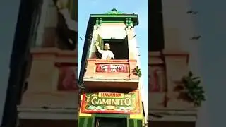 Y APARECISTE T&Uacute; /// CACHO CASTA&Ntilde;A feat TINI STOESSEL #short #vivo