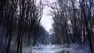 Haunted Forest Radio Announcement