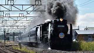 【D51 498青プレ】仲秋の上越線【EH200貨物】20181006 JNR Class D51