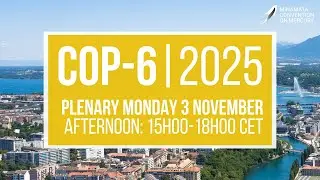 #MinamataCOP6: Afternoon Plenary (3 November 2025)