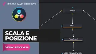 Scala e posizione | Fusion | Davinci Resolve ITA