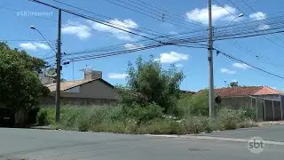 Multas por mato alto cresceram 130% em Ara&ccedil;atuba