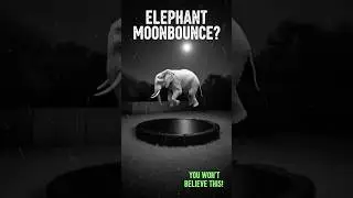 ELEPHANT MOONBOUNCE: Night Vision Trampoline Shock! 🐘🌙