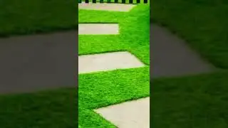 Lawn and Backyard Design Landscaping #shorts | Lawn Care and Gardening