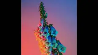 [FREE] Flume Type Beat 2022 - 