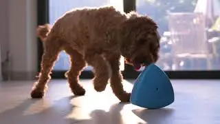 The Roolo&reg; by Play9 - Treat Dispensing Dog Toy