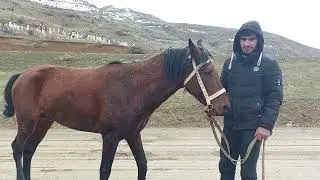 Yarışın ikinci ayağı olacaq