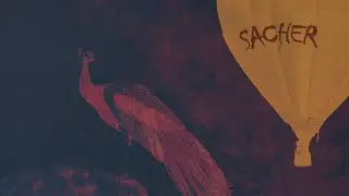 Sacher - Vidaj rane curica (Official video)