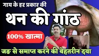 गाय के थन में गांठ का इलाज / ये दवा लगादो हर प्रकार की गांठ हो जाएगी जङ से समाप्त