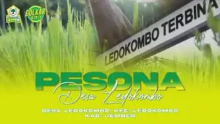 170. DESA LEDOKOMBO KEC LEDOKOMBO JEMBER | VLOG INDAHNYA DESAKU GOLKAR JATIM BY MUHAMMAD SOFYAN