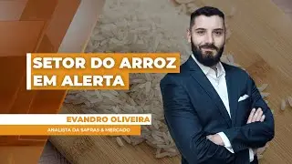 Custo de produção bem acima dos preços deixa setor do arroz em alerta