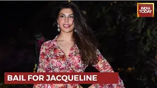 Actor Jacqueline Fernandez Gets Interim Bail In Rs 200 Crore Extortion Case