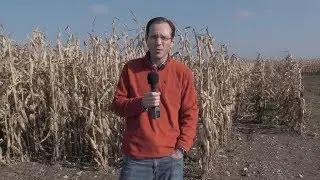 Comet Biorefining CEO Rich Troyer Discusses Corn Stover Incentives