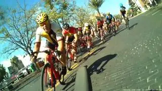 Crit Crash Gator 2017 40+