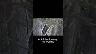 Big Bore 50 Caliber Air Rifle Hunt for Wild Boar