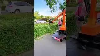 Fastest Tree Cutting and Trimming Machine #Cutting #shorts
