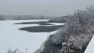 Snowy day at Red Gold Farm, on the pond